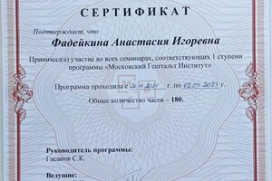 Диплом / сертификат №2 — Фадейкина Анастасия Игоревна