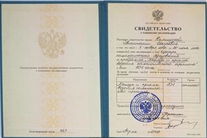 Диплом / сертификат №4 — Фадейкина Анастасия Игоревна