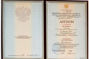 Диплом / сертификат №5 — Фадейкина Анастасия Игоревна