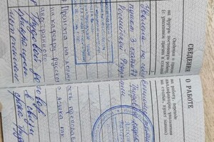 Диплом / сертификат №6 — Федина Ольга Олеговна