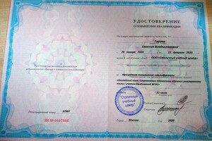 Диплом / сертификат №15 — Гурина Евгения Владиславовна