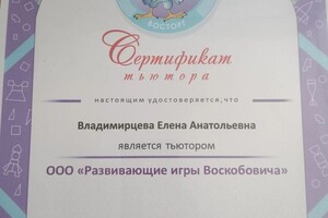 Диплом / сертификат №5 — Владимирцева Елена Анатольевна