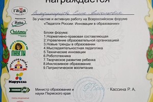 Диплом / сертификат №7 — Владимирцева Елена Анатольевна