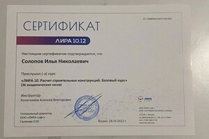 Диплом / сертификат №5 — Солопов Илья Николаевич