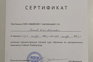 Диплом / сертификат №6 — Солопов Илья Николаевич