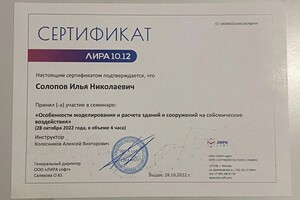 Диплом / сертификат №7 — Солопов Илья Николаевич