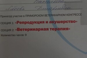 Диплом / сертификат №3 — Васильева Любовь Дмитриевна