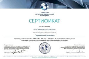 Диплом / сертификат №13 — Санни Ольга Евгеньевна