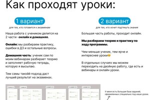 Абрамян Светлана Арамовна — как проходят уроки — Портфолио №3
