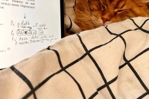 Александров Александр Александрович — Портфолио №7