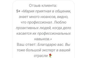 Поиск работы для клиента на позицию топ, с доходом 350+kpi. — Алейник Мария Александровна