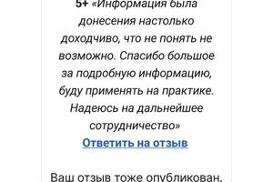 Консультация для СЕО по проведению подбора персонала, по поиску кандидатов, просчету численности для найма, анализу... — Алейник Мария Александровна