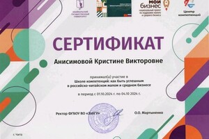 Анисимова Кристина Викторовна — Диплом / сертификат №17