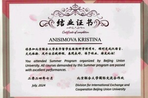 Анисимова Кристина Викторовна — Диплом / сертификат №2