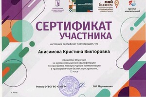 Анисимова Кристина Викторовна — Диплом / сертификат №3