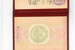 Балашова Ирина Александровна — Диплом / сертификат №2