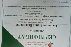 Балыкова Ирина Валериевна — Диплом / сертификат №4