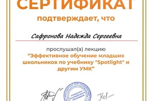 Сафронова Надежда Сергеевна — Портфолио №2