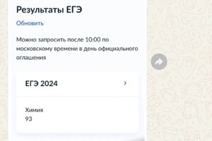 Биналиева Альбина Ойдиновна — Портфолио №11
