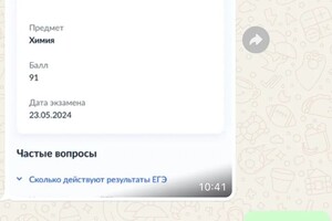 Биналиева Альбина Ойдиновна — Портфолио №14