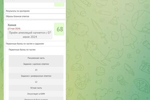 Биналиева Альбина Ойдиновна — Портфолио №15