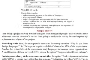 Бочкарева Татьяна Владимировна — Эссе, письменная часть — Портфолио №13