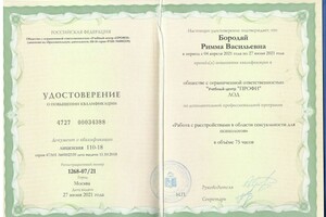 Бородай Римма Васильевна — Диплом / сертификат №5