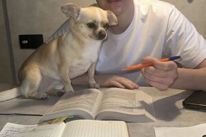 Бредковская Анна Владимировна — ЕГЭ — Портфолио №7