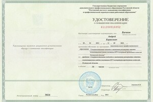 Бычков Андрей Борисович — Диплом / сертификат №11