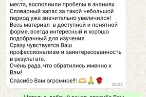 Чередилина Александра Валерьевна — Работа с учеником. Повышение уровня в языке и обогащение словарного запаса — Портфолио №11