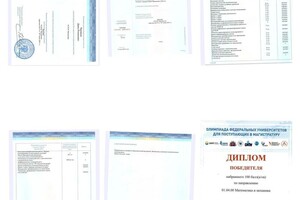 Черняков Данил Романович — Диплом / сертификат №1