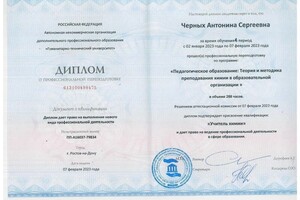 Черных Антонина Сергеевна — Диплом / сертификат №3