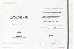 Черных Антонина Сергеевна — Диплом / сертификат №4