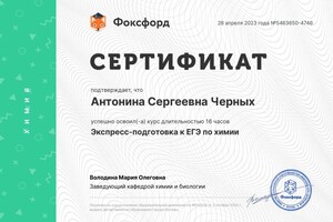 Диплом / сертификат №7 — Черных Антонина Сергеевна