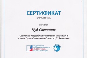 Сертификат участника международного конкурса — Чуб Светлана Ивановна