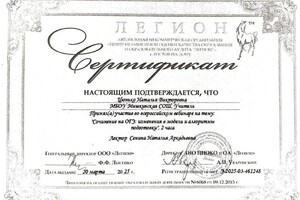 Цюнько Наталья Викторовна — Диплом / сертификат №13