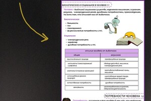 Деева Дарья Евгеньевна — Портфолио №1