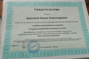 Дерновая Мария Александровна — Диплом / сертификат №2