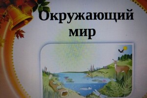 Дерновая Мария Александровна — Портфолио №4