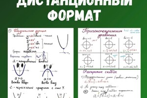 Долинская Виктория Сергеевна — Портфолио №2