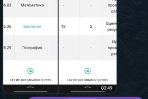 Егорова Анастасия Валерьевна — Отзыв ученика — Портфолио №2