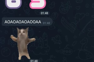 Егорова Анастасия Валерьевна — Отзыв ученика — Портфолио №3