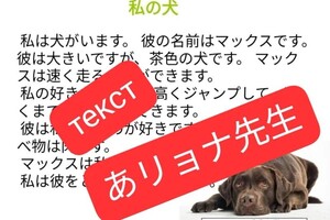 Федоренко Алена Александровна — Текстов на японском языке разных уровней для учебы, в общем доступе в интернете НЕТ. Поэтому я составляю мини рассказы,... — Портфолио №44