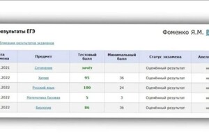 Фоменко Яна Михайловна — Портфолио №2