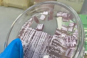 Головко Татьяна Владимировна — Портфолио №1