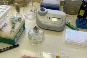 Головко Татьяна Владимировна — Портфолио №5