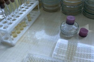 Головко Татьяна Владимировна — Портфолио №6