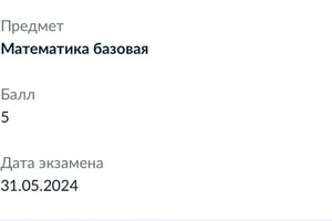 Диплом / сертификат №4 — Грязных Ирина Александровна