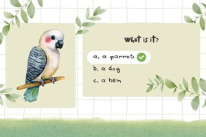 Хлопцева Виктория Николаевна — Портфолио №1