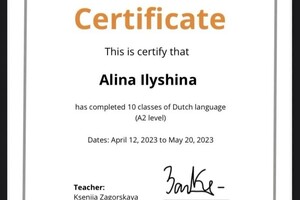 Илюшина Алина Константиновна — Диплом / сертификат №1